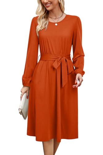 Womens Long Sleeve Casual Dresses 2025 Business Work Teacher Fall Church Belted A Line Flowy Midi Dress