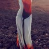 Womens Floral Cami Mesh Spaghetti Strap Bodycon See Through Backless Sheer Tulle Dress